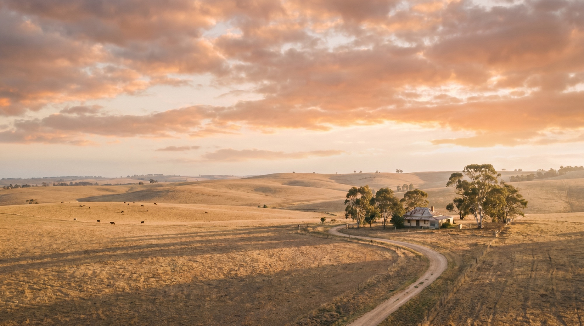 Warm golden-hour view over rolling Australian farmland.