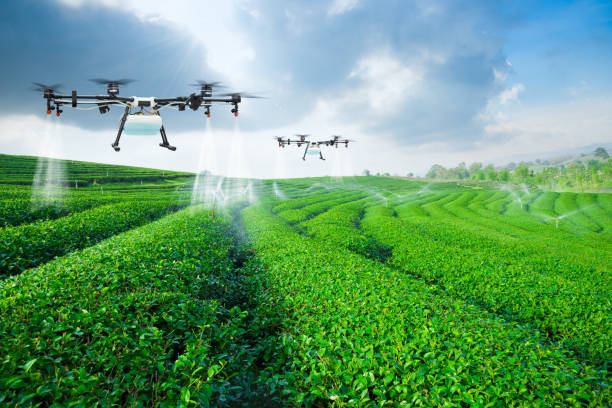 How Improvements in Technology Help Make Agriculture More Sustainable