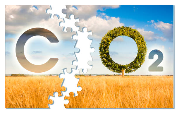 Carbon Farming and Regenerative Agriculture