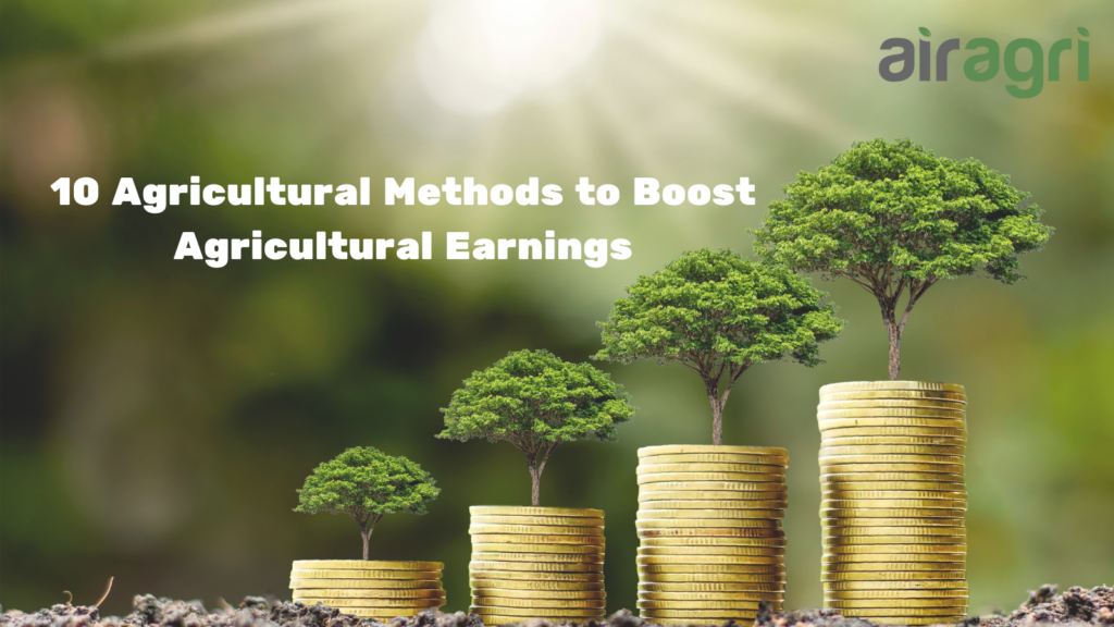 10 Agricultural Methods to Boost Agricultural Earnings