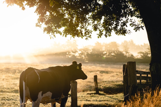 Farm Tracking Software